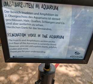 Aquarium nur eine Etage geöffnet derzeit