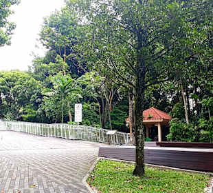 Henderson Waves Bridge