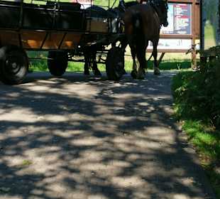 Wandern Oberwiesenthal