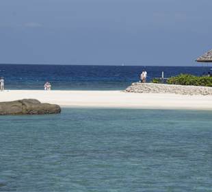 Insel