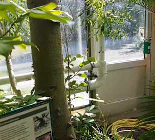Botanischer Garten