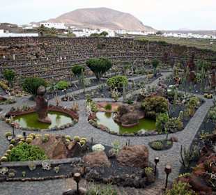 Jardin de Cactus
