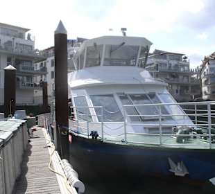 MS Sea-Life