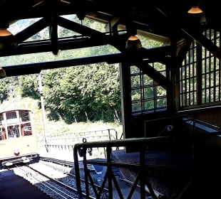 Fahrt mit der Königstuhlbahn
