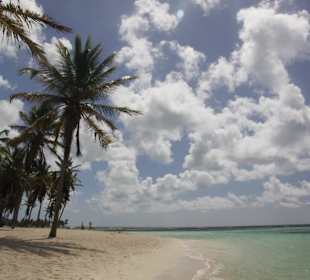 Insel Saona
