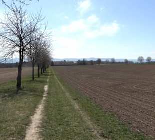 Geschichtlicher Lehrpfad Einsiedel