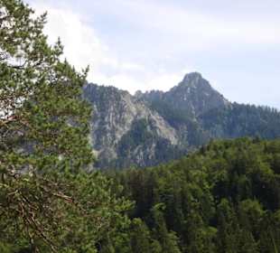 Herrlicher Blick zum Ammergebirge