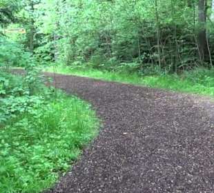 Hochseilgarten Hallwangen