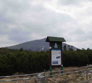 Berg Schneekoppe/Śnieżka