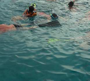 Gelegenheit zum Schnorcheln