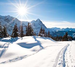 Skigebiet Grindelwald