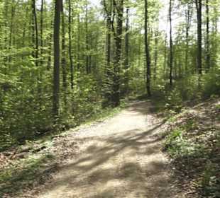 Wanderweg Firstwaldrunde