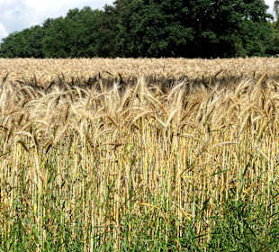 Unterwegs auf dem Huntepadd