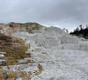 Yellowstone Nationalpark