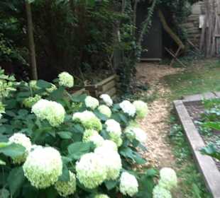 Interkultureller Gemeinschaftsgarten