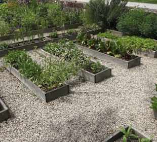 Benediktinerkloster Lorch