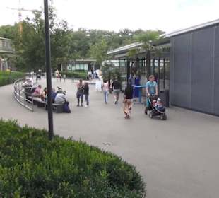 Vogelfreifluggelände