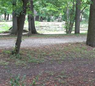 Schlosspark St. Emmeram