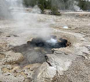 Yellowstone Nationalpark