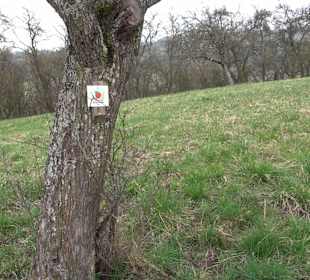 Unterjesinger Wengertwegle