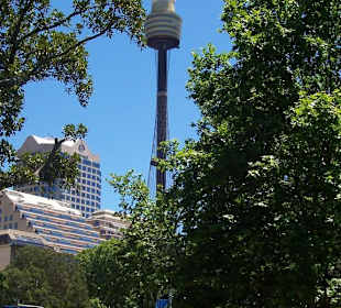 Sydney Tower 