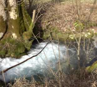 Bad Uracher Wasserfall