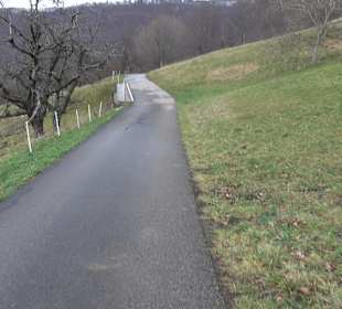 Birnenerlebnisweg Glems