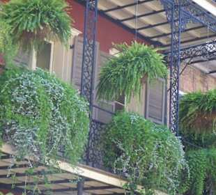 Impressionen aus New Orleans