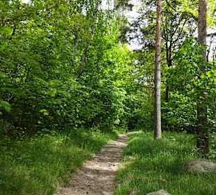 Weg zum Turm
