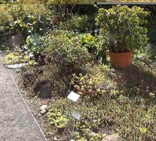 Botanischer Garten 