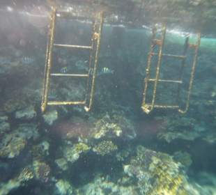 Hauza Beach Hotel - house reef