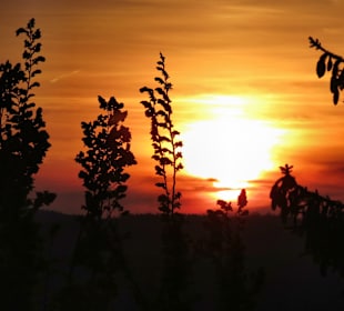 Wandern Sankt Oswald-Riedlhütte
