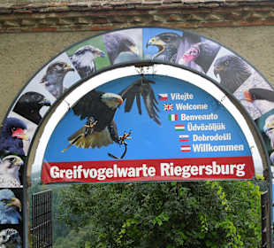 Greifvogelwarte Riegersburg