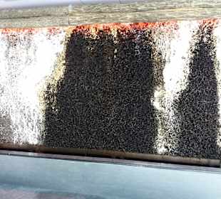 Stadtrundgang Neuruppin