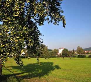 Hofstetten/Grünau im Pielachtal