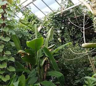 Botanischer Garten