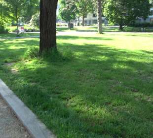 Seegarten-Anlage / Kurfürsten-Anlage