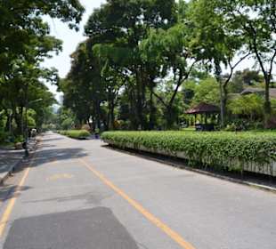 Lumphini Park