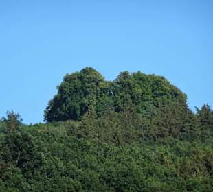 Der Veitsberg im Sommer