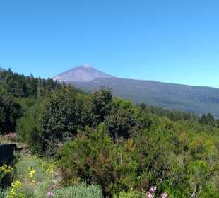  Parque Nacional del Teide