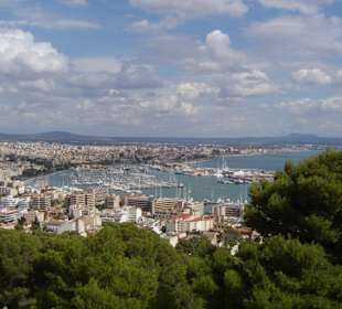 Blick auf Palma