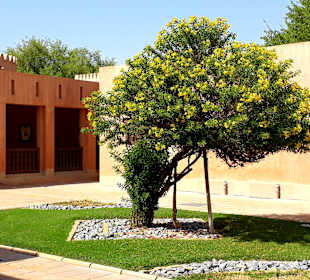 Al Ain Palace Museum
