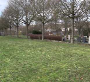 Friedhof Frickenhausen