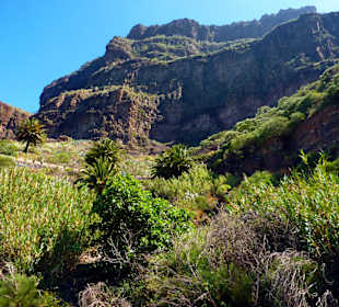 Masca