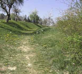 Ruine Maisenburg