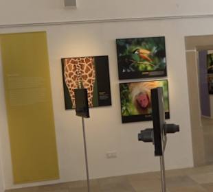 Museum für Ur- und Frühgeschichte