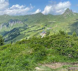 Wandern Damüls