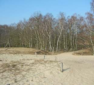 Wunderschöne Boberger Niederung