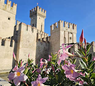 Sirmione Scaligerburg