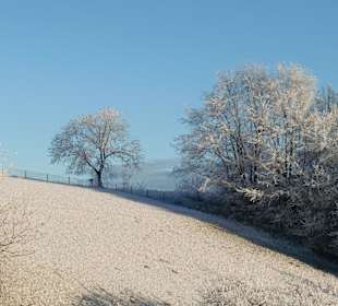 Winterspaziergang
